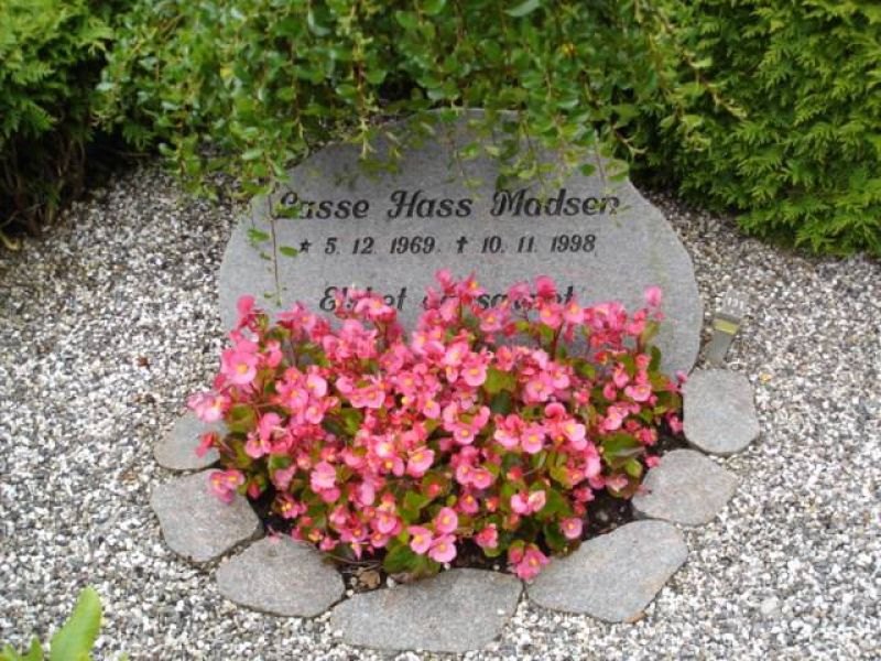 Lasse Hass Madsen.jpg